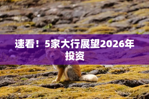 速看!5家大行展望2026年投资