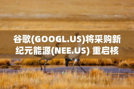 谷歌(GOOGL.US)将采购新纪元能源(NEE.US) 重启核电站所为AI数据中心供电