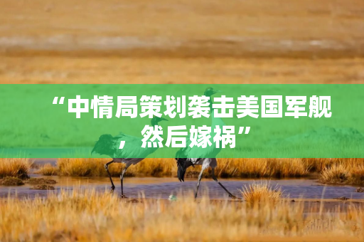 “中情局策划袭击美国军舰,然后嫁祸”