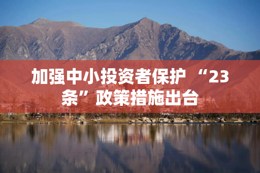 加强中小投资者保护 “23条”政策措施出台