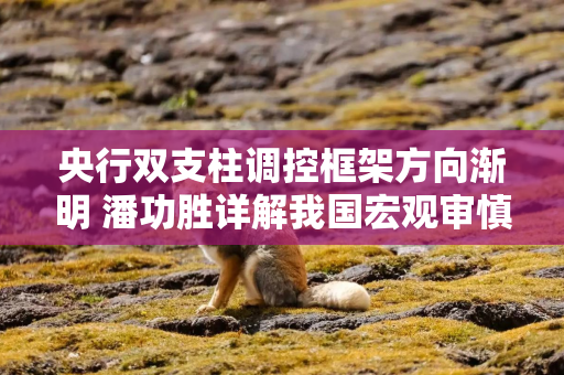 央行双支柱调控框架方向渐明 潘功胜详解我国宏观审慎管理体系