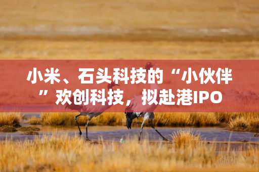 小米、石头科技的“小伙伴”欢创科技,拟赴港IPO