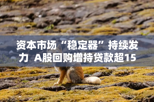 资本市场“稳定器”持续发力  A股回购增持贷款超1500亿元