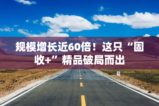 规模增长近60倍!这只“固收+”精品破局而出