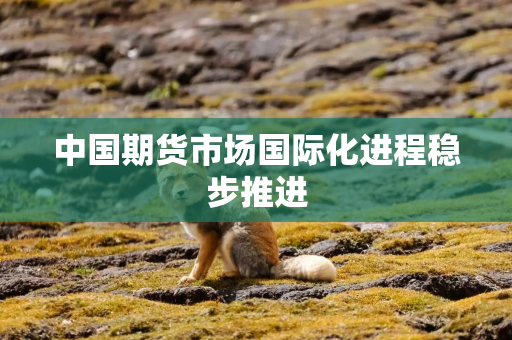中国期货市场国际化进程稳步推进