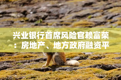 兴业银行首席风险官赖富荣:房地产、地方政府融资平台、信用卡三大领域从风险高发转向收敛