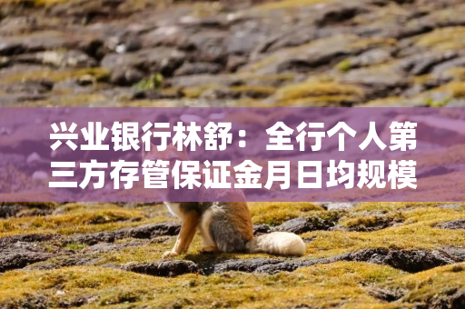 兴业银行林舒:全行个人第三方存管保证金月日均规模大幅增加,客户在资本市场交易更加活跃