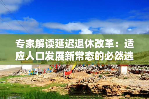 专家解读延迟退休改革：适应人口发展新常态的必然选择