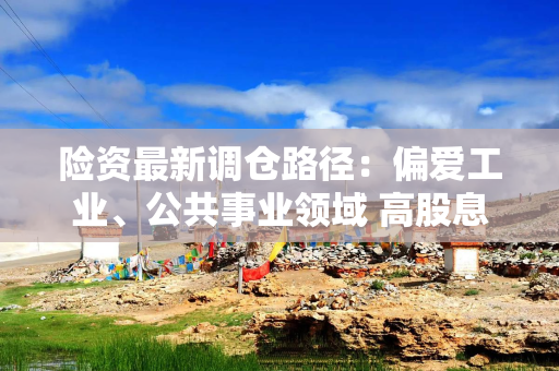 险资最新调仓路径：偏爱工业、公共事业领域 高股息增配空间继续释放