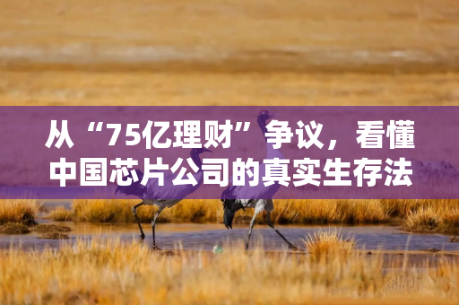 从“75亿理财”争议,看懂中国芯片公司的真实生存法则