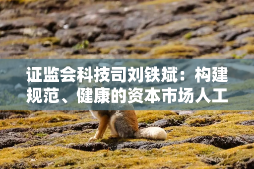 证监会科技司刘铁斌:构建规范、健康的资本市场人工智能生态体系