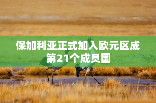 保加利亚正式加入欧元区成第21个成员国