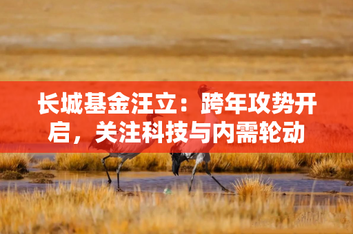 长城基金汪立:跨年攻势开启,关注科技与内需轮动