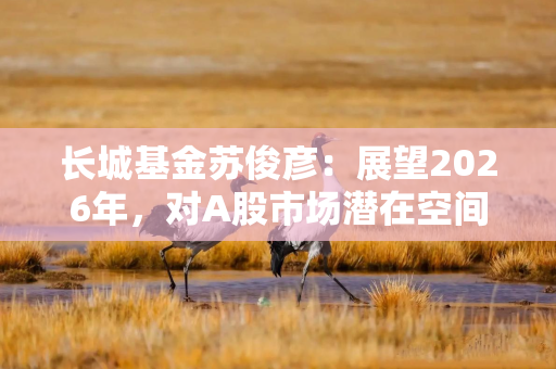 长城基金苏俊彦:展望2026年,对A股市场潜在空间依然乐观