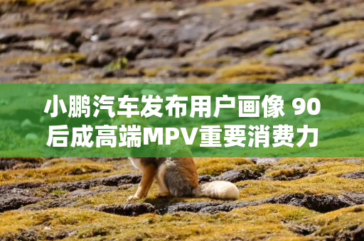 小鹏汽车发布用户画像 90后成高端MPV重要消费力量