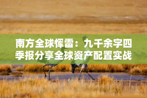 南方全球恽雷:九千余字四季报分享全球资产配置实战指南