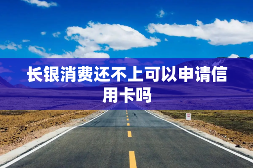 长银消费还不上可以申请信用卡吗