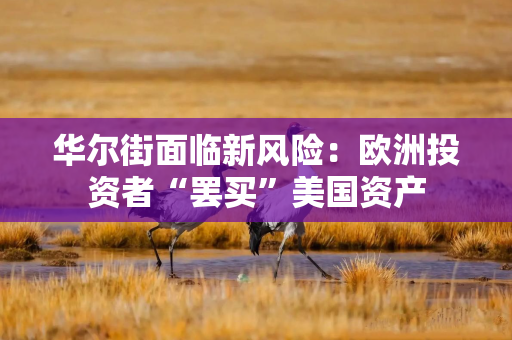 华尔街面临新风险:欧洲投资者“罢买”美国资产