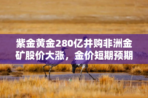 紫金黄金280亿并购非洲金矿股价大涨,金价短期预期分歧初现