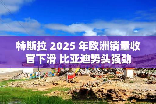 特斯拉 2025 年欧洲销量收官下滑 比亚迪势头强劲