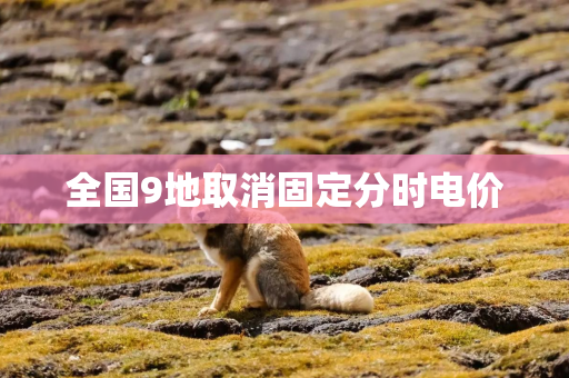 全国9地取消固定分时电价