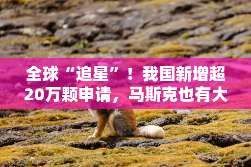 全球“追星”!我国新增超20万颗申请,马斯克也有大消息