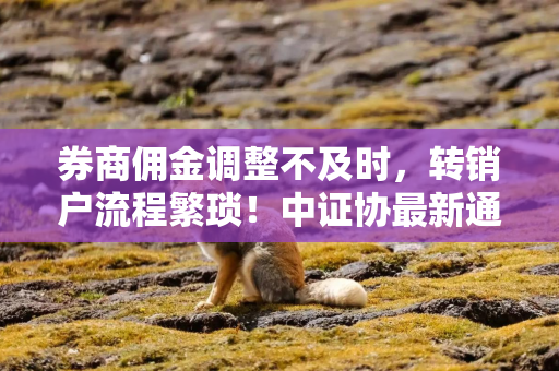 券商佣金调整不及时,转销户流程繁琐!中证协最新通报