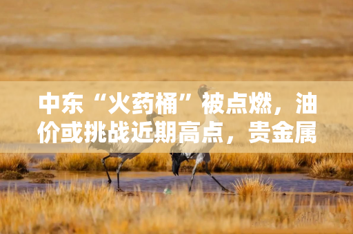 中东“火药桶”被点燃,油价或挑战近期高点,贵金属蓄势待发