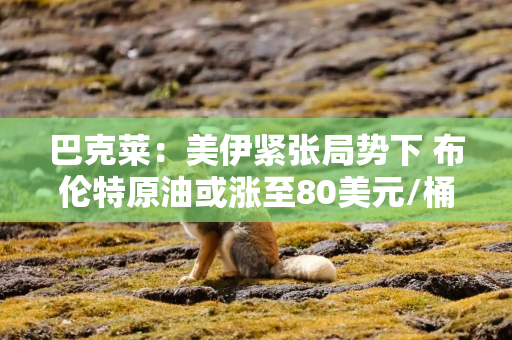 巴克莱:美伊紧张局势下 布伦特原油或涨至80美元/桶