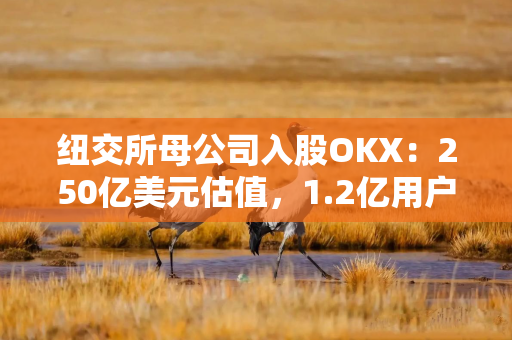 纽交所母公司入股OKX：250亿美元估值，1.2亿用户将接入代币化股票市场