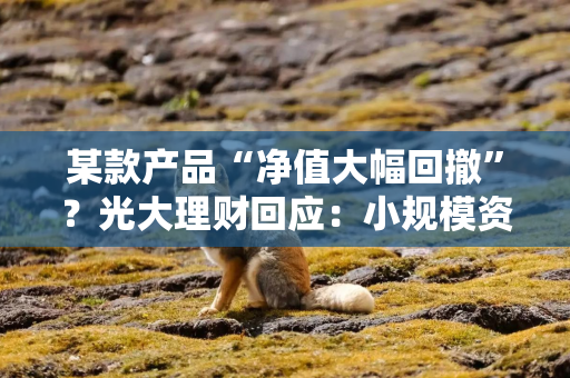 某款产品“净值大幅回撤”?光大理财回应:小规模资管产品集中赎回造成账面净值扰动,为行业常见现象