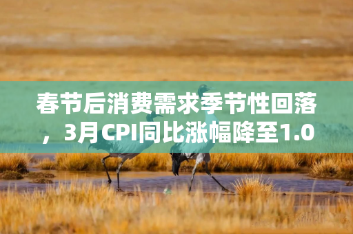 春节后消费需求季节性回落,3月CPI同比涨幅降至1.0%