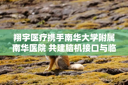 翔宇医疗携手南华大学附属南华医院 共建脑机接口与临床转化衡阳分中心