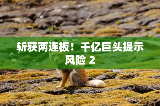 斩获两连板!千亿巨头提示风险 2