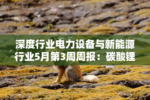 深度行业电力设备与新能源行业5月第3周周报：碳酸锂多空博弈延续 价格高位震荡 3