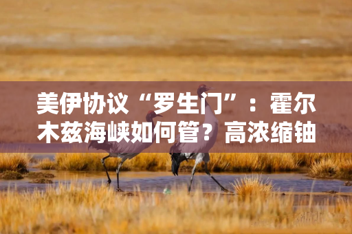美伊协议“罗生门”：霍尔木兹海峡如何管？高浓缩铀弃不弃？