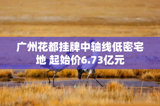 广州花都挂牌中轴线低密宅地 起始价6.73亿元