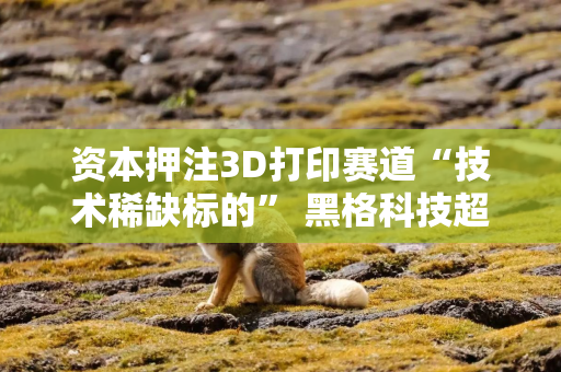 资本押注3D打印赛道“技术稀缺标的” 黑格科技超3亿元C轮融资落地
