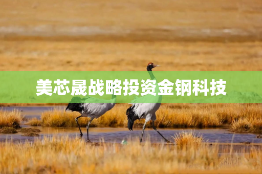 美芯晟战略投资金钢科技