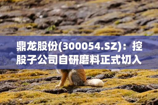 鼎龙股份(300054.SZ):控股子公司自研磨料正式切入第三代半导体市场