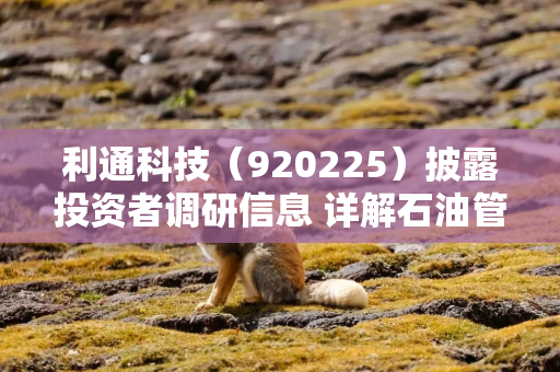 利通科技（920225）披露投资者调研信息 详解石油管订单复苏及超高压设备进展