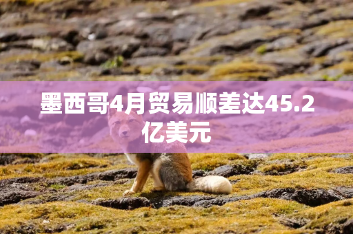 墨西哥4月贸易顺差达45.2亿美元