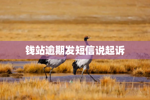 钱站逾期发短信说起诉