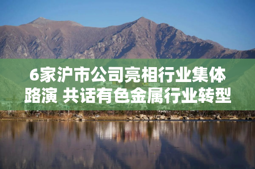 6家沪市公司亮相行业集体路演 共话有色金属行业转型升级