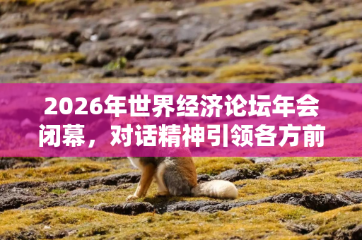2026年世界经济论坛年会闭幕,对话精神引领各方前行