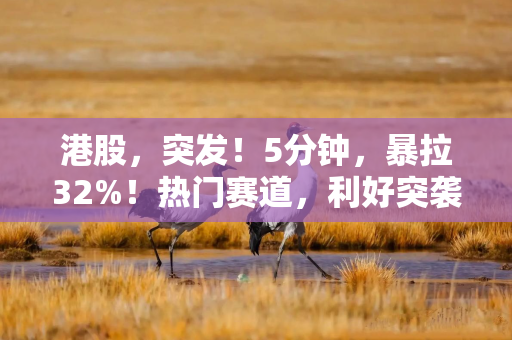 港股,突发!5分钟,暴拉32%!热门赛道,利好突袭