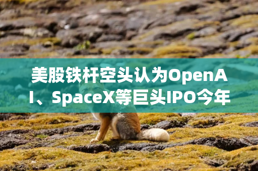 美股铁杆空头认为OpenAI、SpaceX等巨头IPO今年可能拖累股市