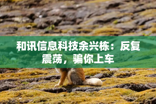 和讯信息科技余兴栋:反复震荡,骗你上车