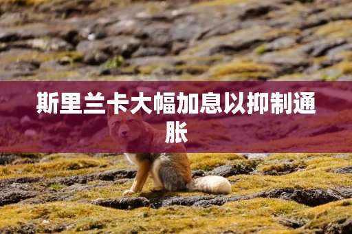 斯里兰卡大幅加息以抑制通胀