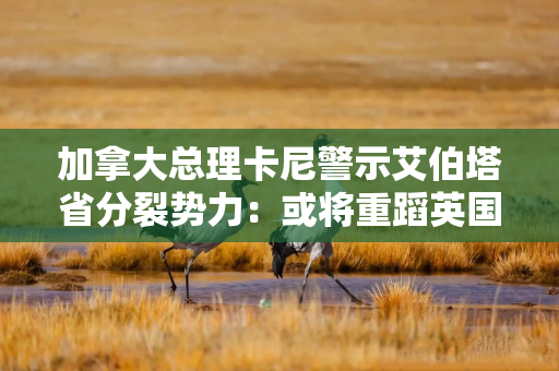加拿大总理卡尼警示艾伯塔省分裂势力:或将重蹈英国脱欧的覆辙,追悔莫及